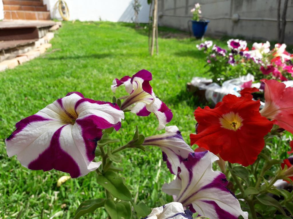 Hotel Dimitra Τσουκαλαίικα Εξωτερικό φωτογραφία